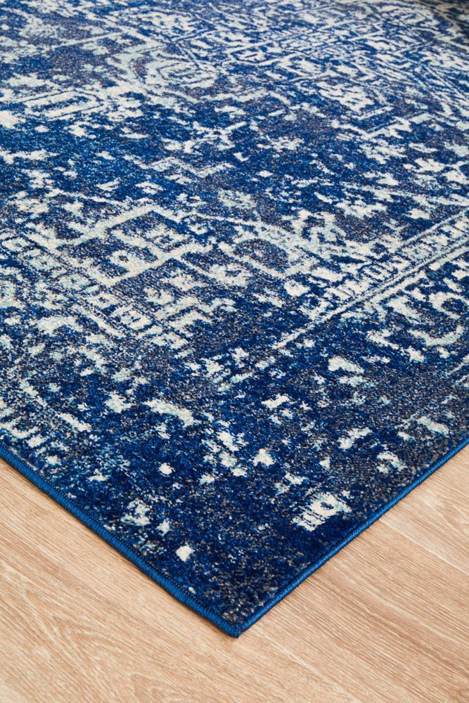 Esther Transitional Blue & White Rug