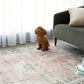 Kindred Coco Peach Machine Washable Rug